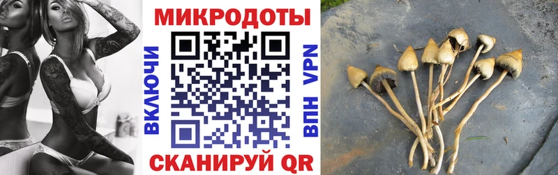 купить наркотики цена  Нижнекамск  Галлюциногенные грибы мухоморы 